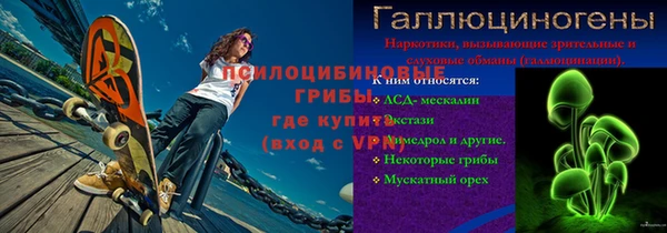 прущая мука Арсеньев