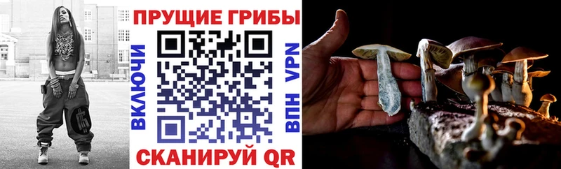 Купить  Нефтегорск  Псилоцибиновые грибы ЛСД 